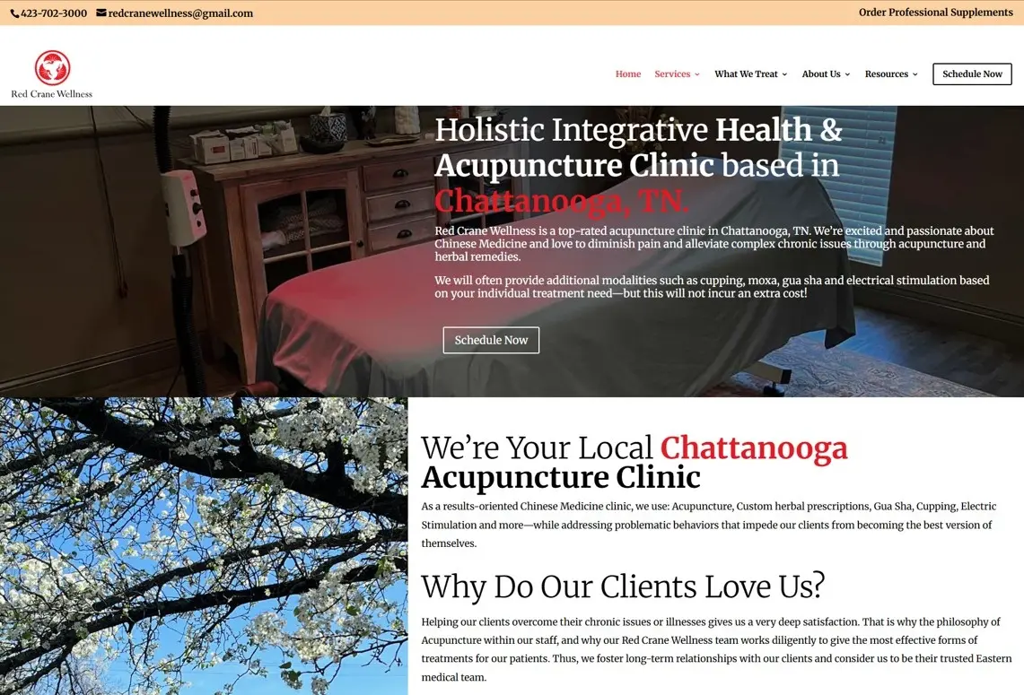Before: Old acupuncture clinic website - 1GB file size, 64 mobile speed, generic content